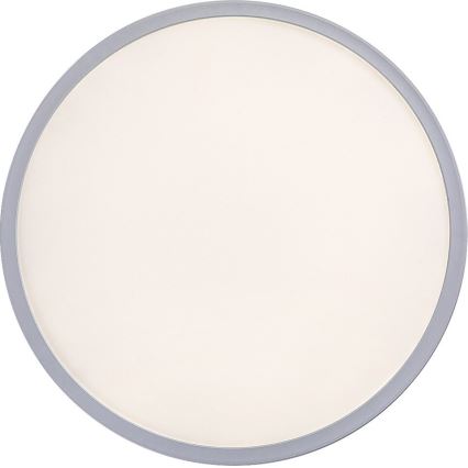 Rabalux - LED reguliuojamas lubinis šviestuvas LED/22W/230V skers. 42 cm