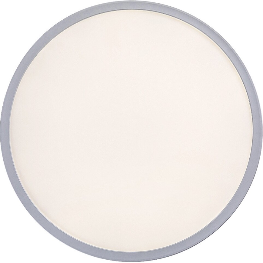 Rabalux - LED reguliuojamas lubinis šviestuvas LED/22W/230V skers. 42 cm