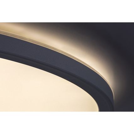 Rabalux - LED reguliuojamas lubinis šviestuvas LED/22W/230V skers. 42 cm