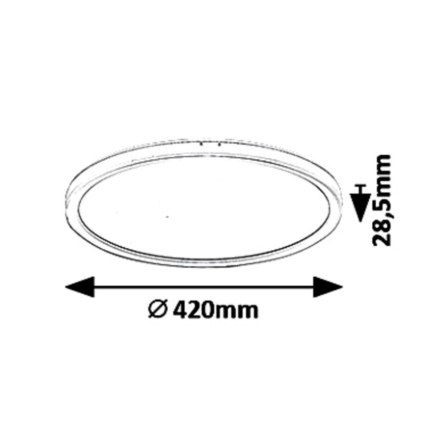 Rabalux - LED reguliuojamas lubinis šviestuvas LED/22W/230V skers. 42 cm