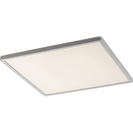 Rabalux - dimeriuojamas LED lubinis šviestuvas LED/22W/230V 42x42 cm