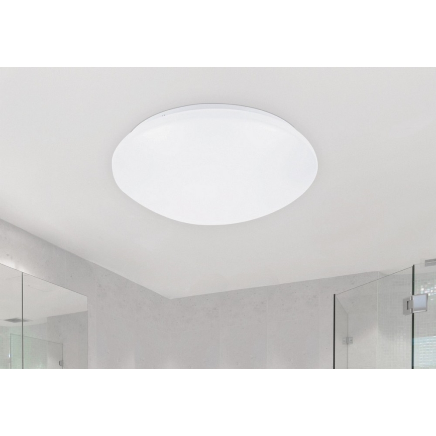 Rabalux - LED lubinis šviestuvas 1xLED/24W/230V