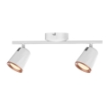 Rabalux 5046 - LED akcentinis šviestuvas SOLANGE 2xLED/6W/230V