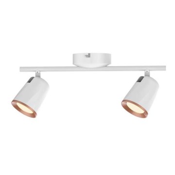 Rabalux 5046 - LED akcentinis šviestuvas SOLANGE 2xLED/6W/230V