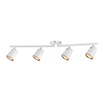 Rabalux 5048 - LED akcentinis šviestuvas SOLANGE 4xLED/6W/230V
