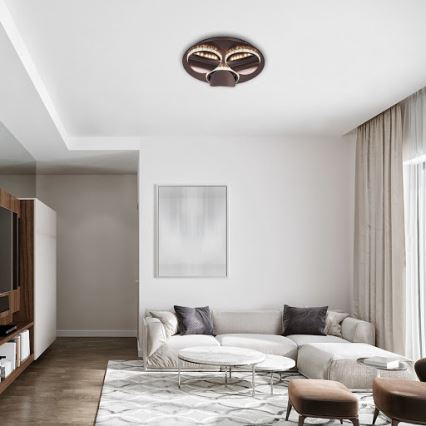 Rabalux - reguliuojamo ryškumo LED lubų šviestuvas CAPRIANA LED/18W/230V skersmuo 38 cm