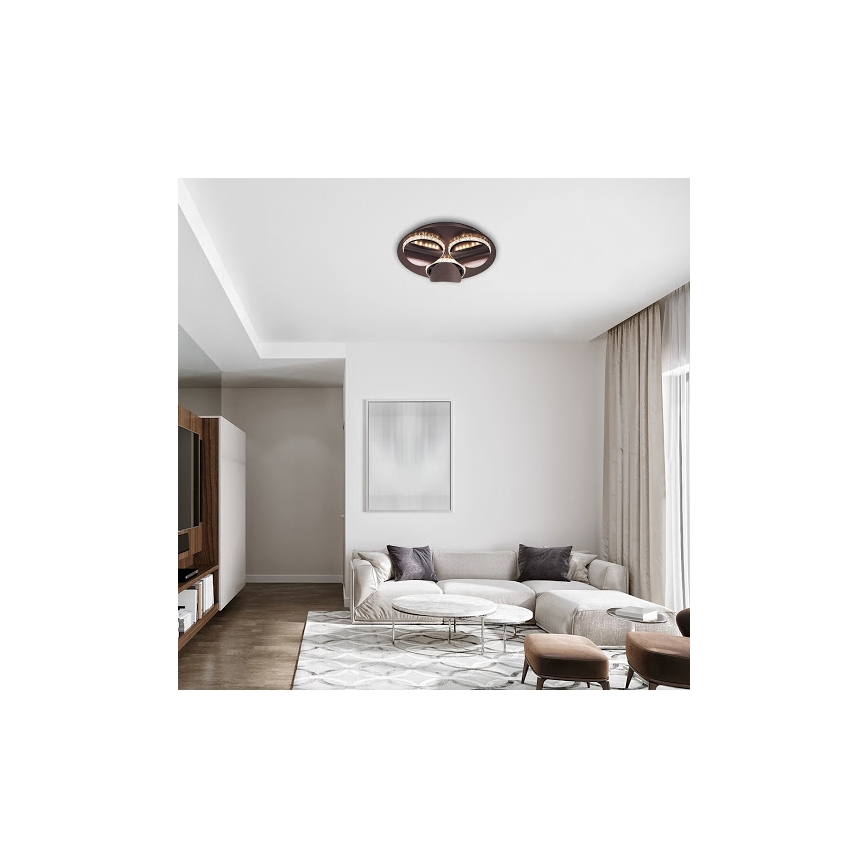 Rabalux - reguliuojamo ryškumo LED lubų šviestuvas CAPRIANA LED/18W/230V skersmuo 38 cm