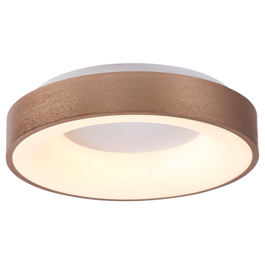 Rabalux 5052 - LED lubinis šviestuvas CARMELA LED/30W/230V