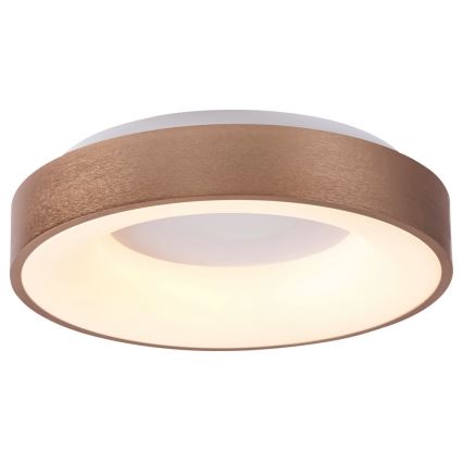 Rabalux 5053 - LED lubinis šviestuvas CARMELA LED/50W/230V