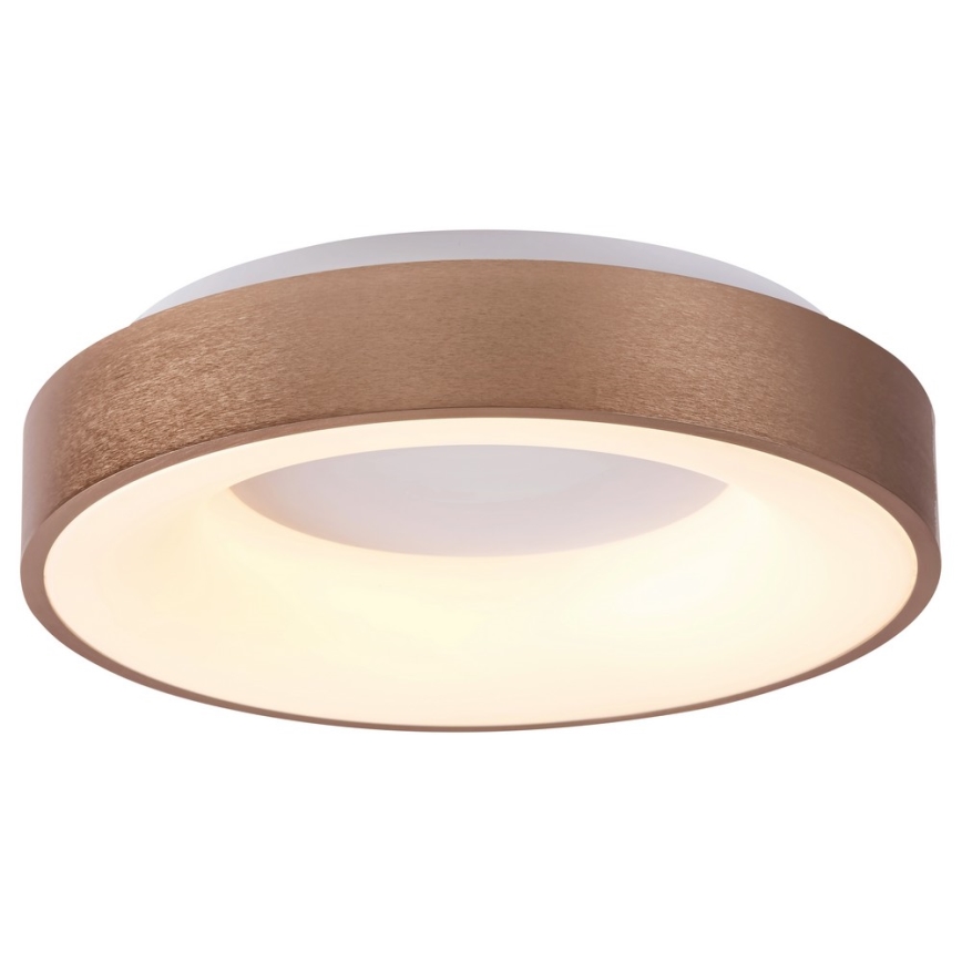 Rabalux 5053 - LED lubinis šviestuvas CARMELA LED/50W/230V