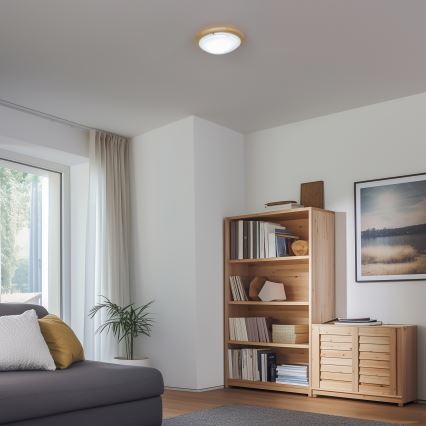 Rabalux - Lubinis šviestuvas 1xE27/60W/230V diametras 30 cm
