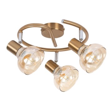 Rabalux 5549 - Akcentinis šviestuvas HOLLY 3xE14/40W/230V auksinis