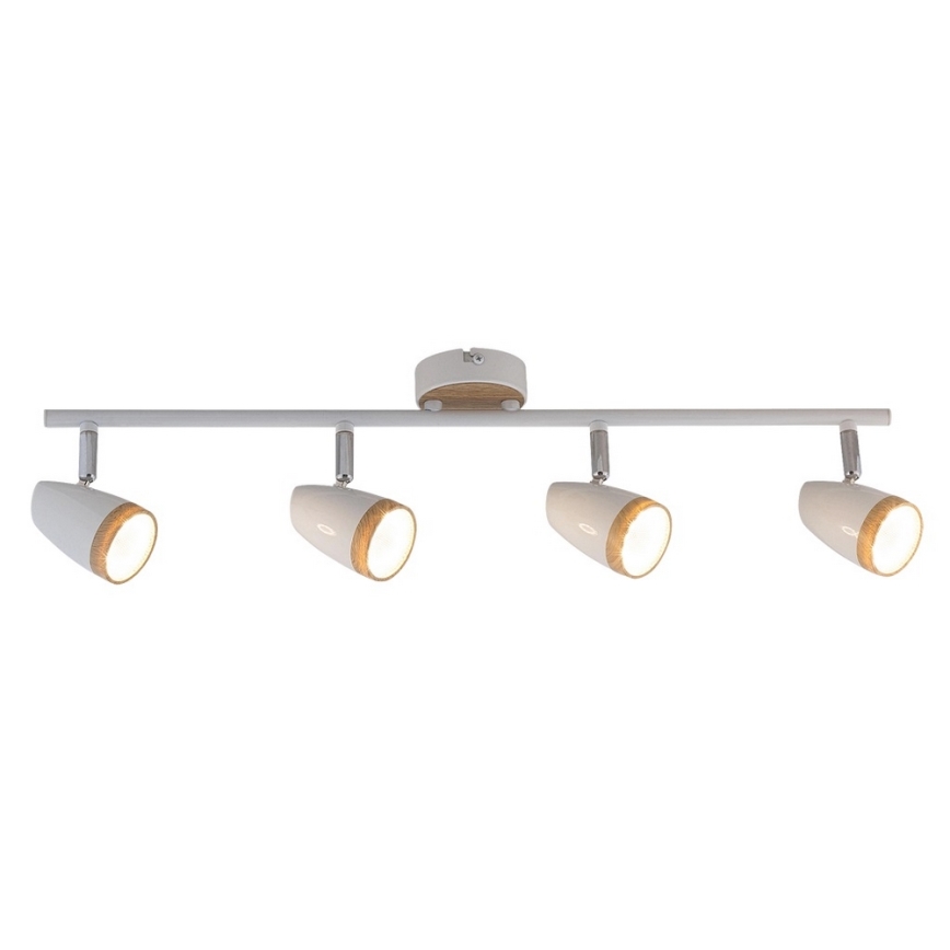 Rabalux - LED akcentinis šviestuvas 4xLED/4W/230V