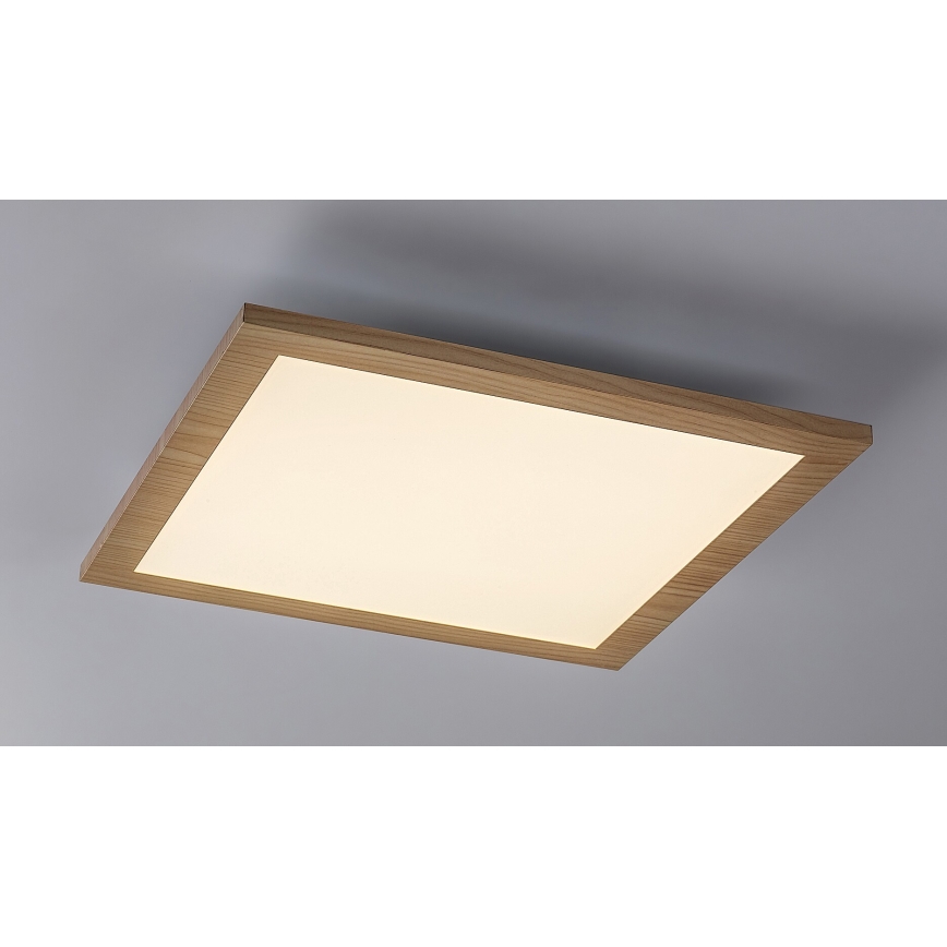 Rabalux - LED Ant pagrindo montuojamas skydelis LED/12W/230V 4000K