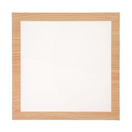 Rabalux - LED Ant pagrindo montuojamas skydelis LED/12W/230V 4000K
