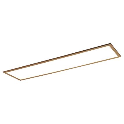 Rabalux - LED Ant pagrindo montuojamas skydelis LED/40W/230V 4000K