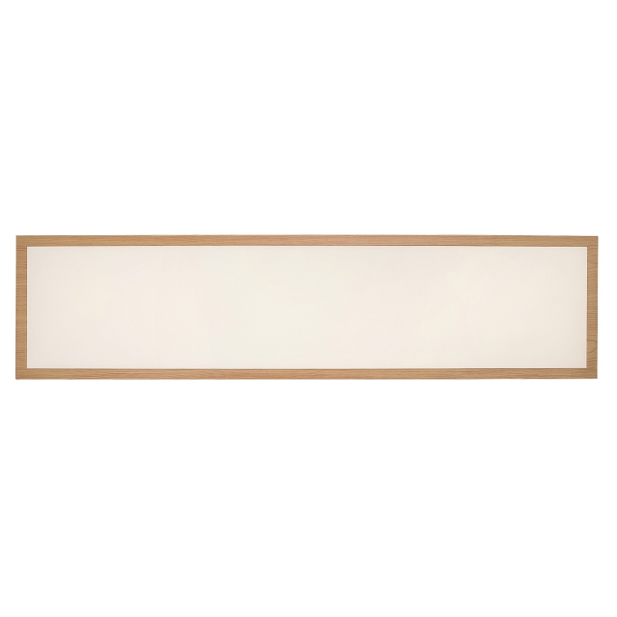 Rabalux - LED Ant pagrindo montuojamas skydelis LED/40W/230V 4000K