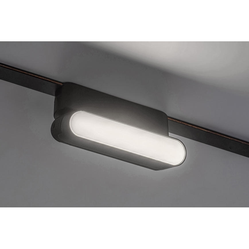 Rabalux - LED Lubinis šviestuvas vienfazės bėginės sistemos LED/6W/230V 4000K 11,5 cm juoda