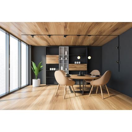 Rabalux - LED Pritemdomas prožektorius vienfazės bėginės sistemos šviestuvui LED/5W/24V 2700-5500K Wi-Fi Tuya juoda