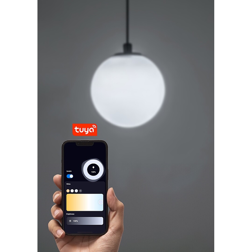 Rabalux - LED Reguliuojamas pakabinamas sietynas 1-fazės bėgių sistemai LED/5W/24V 2700-5500K Wi-Fi Tuya juoda