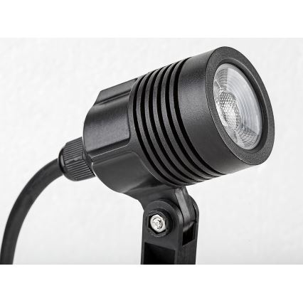 Rabalux - LED Lauko lempa LED/3W/230V IP65