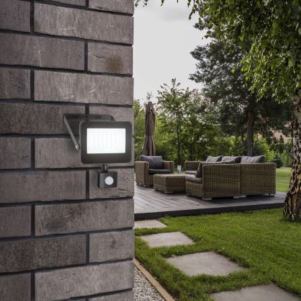 Rabalux - LED prožektorius su jutikliu LED/30W/230V 4000K IP44 juoda