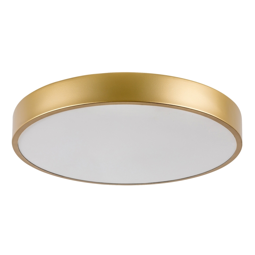 Rabalux - LED lubinis šviestuvas LED/36W/230V 3000K