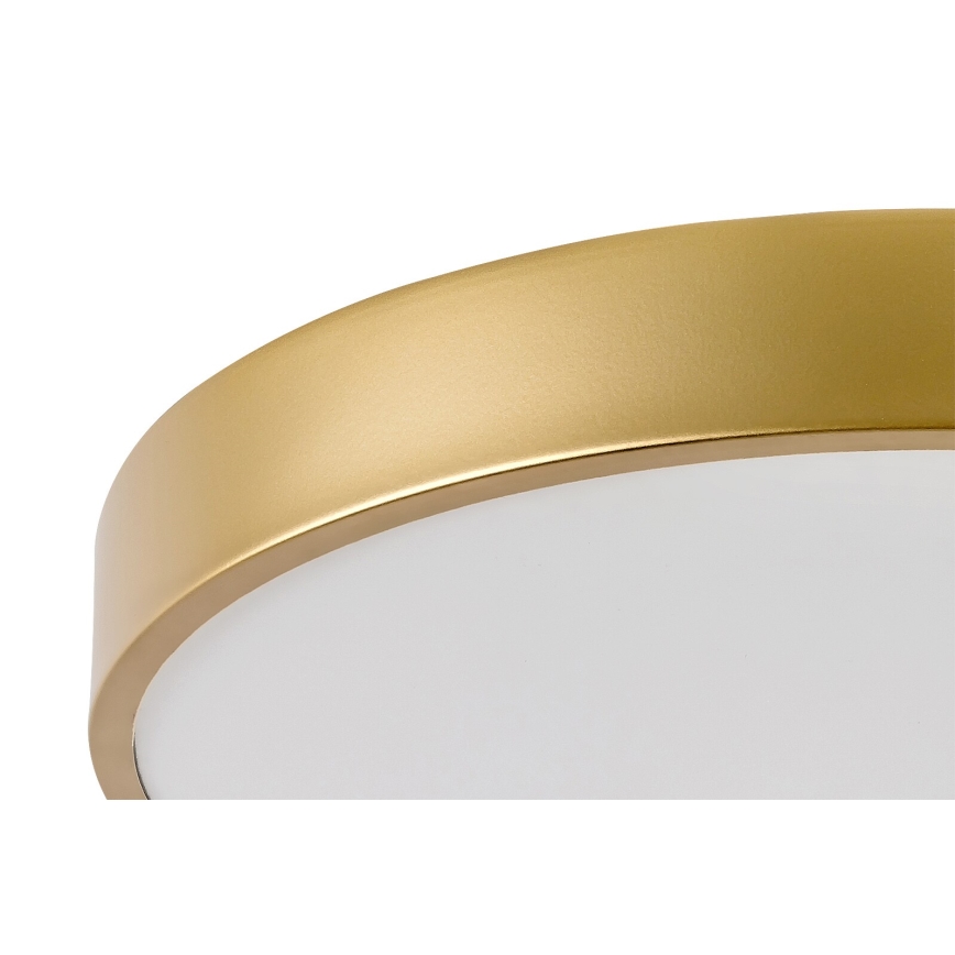 Rabalux - LED lubinis šviestuvas LED/36W/230V 3000K
