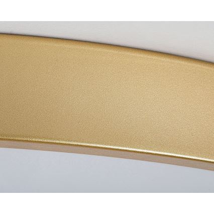 Rabalux - dimeriuojamas LED lubų šviestuvas LED/60W/230V 3000-6000K + nuotolinis valdymas, skersmuo 60 cm