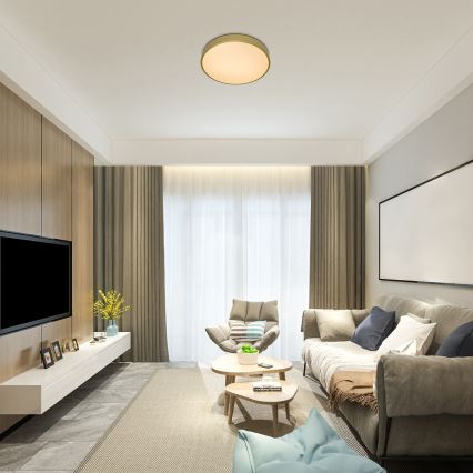 Rabalux - dimeriuojamas LED lubų šviestuvas LED/60W/230V 3000-6000K + nuotolinis valdymas, skersmuo 60 cm