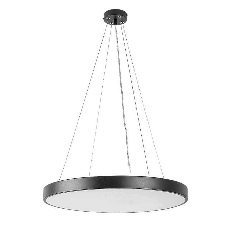 Rabalux - LED šviestuvas ant laido LED/36W/230V 3000K juoda