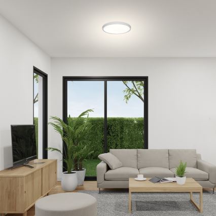 Rabalux - LED lubinis šviestuvas LED/24W/230V 4000K diametras 30 cm balta