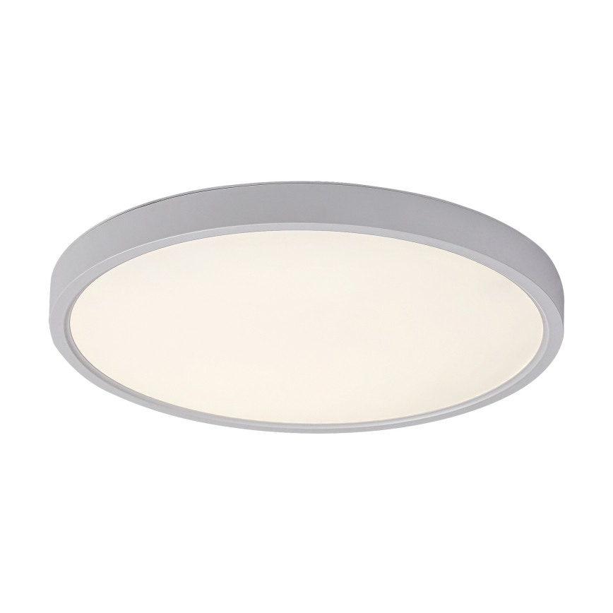 Rabalux - LED lubinis šviestuvas LED/24W/230V 4000K diametras 30 cm balta