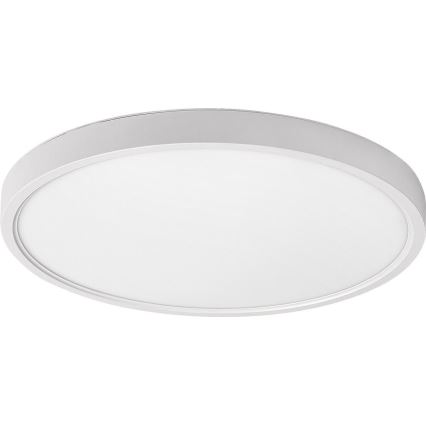 Rabalux - LED lubinis šviestuvas LED/24W/230V 4000K diametras 30 cm balta