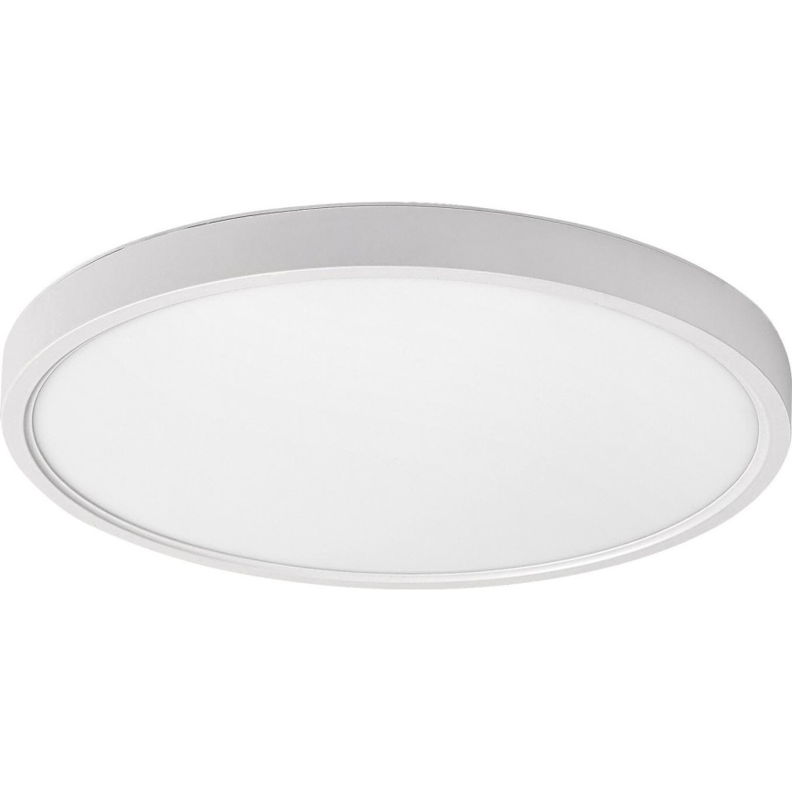 Rabalux - LED lubinis šviestuvas LED/24W/230V 4000K diametras 30 cm balta