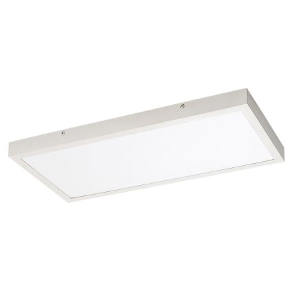 Rabalux - LED Ant pagrindo montuojama panelė LED/24W/230V 4000K 60x30 cm