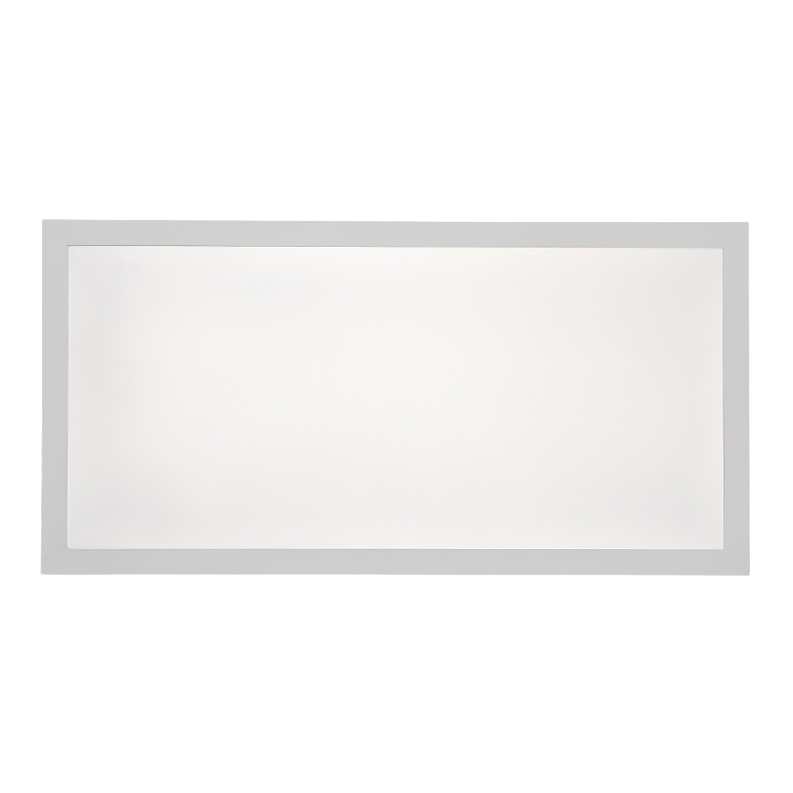Rabalux - LED Ant pagrindo montuojama panelė LED/24W/230V 4000K 60x30 cm