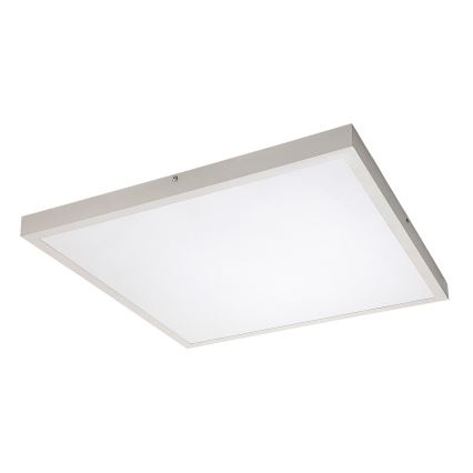 Rabalux - LED Ant pagrindo montuojama panelė LED/40W/230V 4000K 60x60 cm