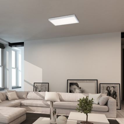 Rabalux - LED Ant pagrindo montuojama panelė LED/80W/230V 4000K 120x60 cm