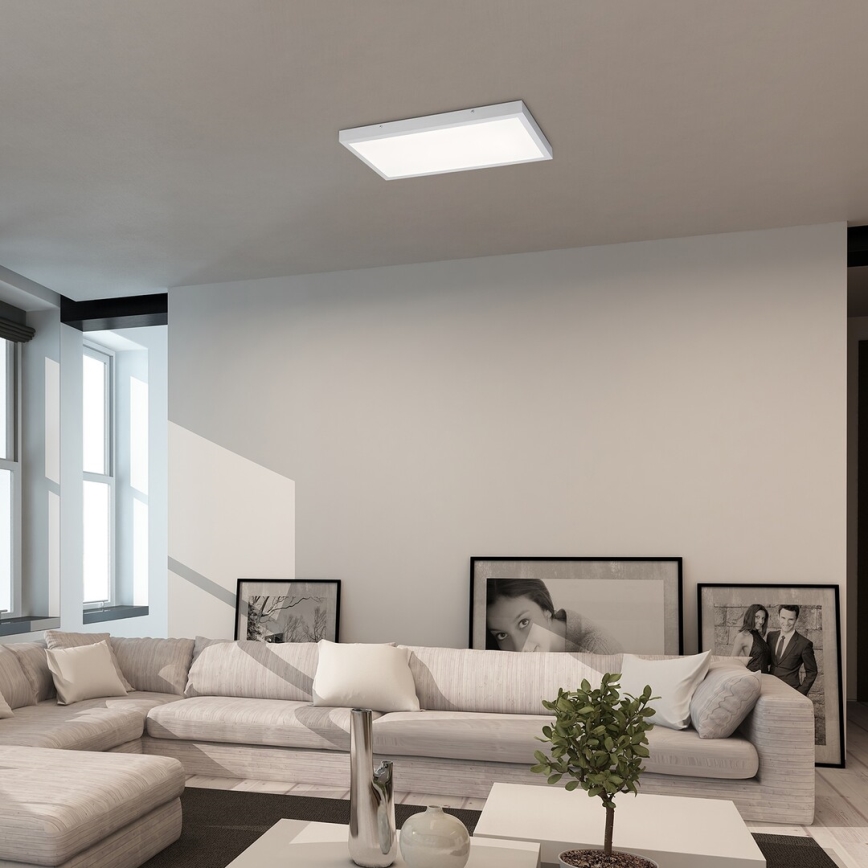 Rabalux - LED Ant pagrindo montuojama panelė LED/80W/230V 4000K 120x60 cm