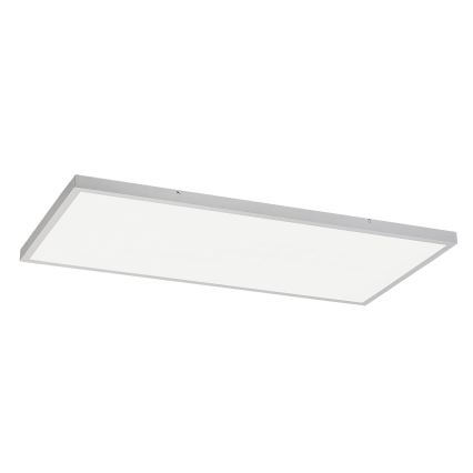 Rabalux - LED Ant pagrindo montuojama panelė LED/80W/230V 4000K 120x60 cm