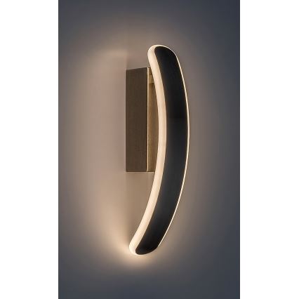 Rabalux - LED sieninis šviestuvas LED/12W/230V