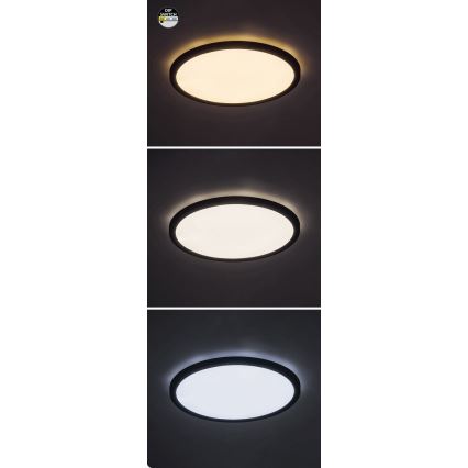 Rabalux - LED lubinis šviestuvas LED/24W/230V 3000/4000/6000K diametras 29 cm juoda