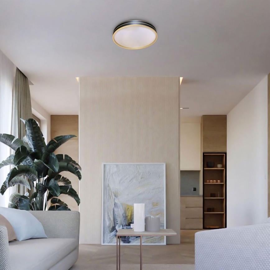 Rabalux - Reguliuojamo ryškumo LED lubinis šviestuvas LED/24W/230V 3000-6500K skersm. 39 cm + nuotolinis valdymas