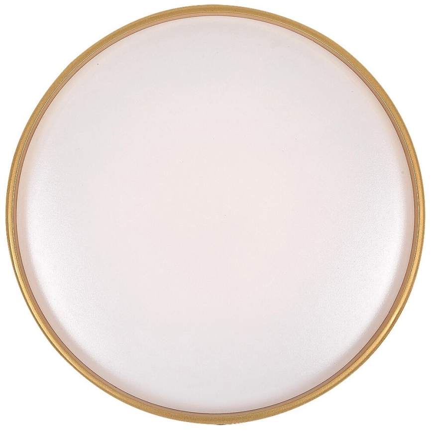 Rabalux - Reguliuojamo ryškumo LED lubinis šviestuvas LED/24W/230V 3000-6500K skersm. 39 cm + nuotolinis valdymas