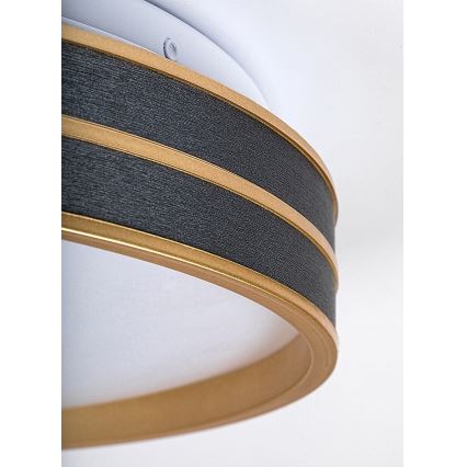 Rabalux - Reguliuojamo ryškumo LED lubinis šviestuvas LED/24W/230V 3000-6500K skersm. 39 cm + nuotolinis valdymas