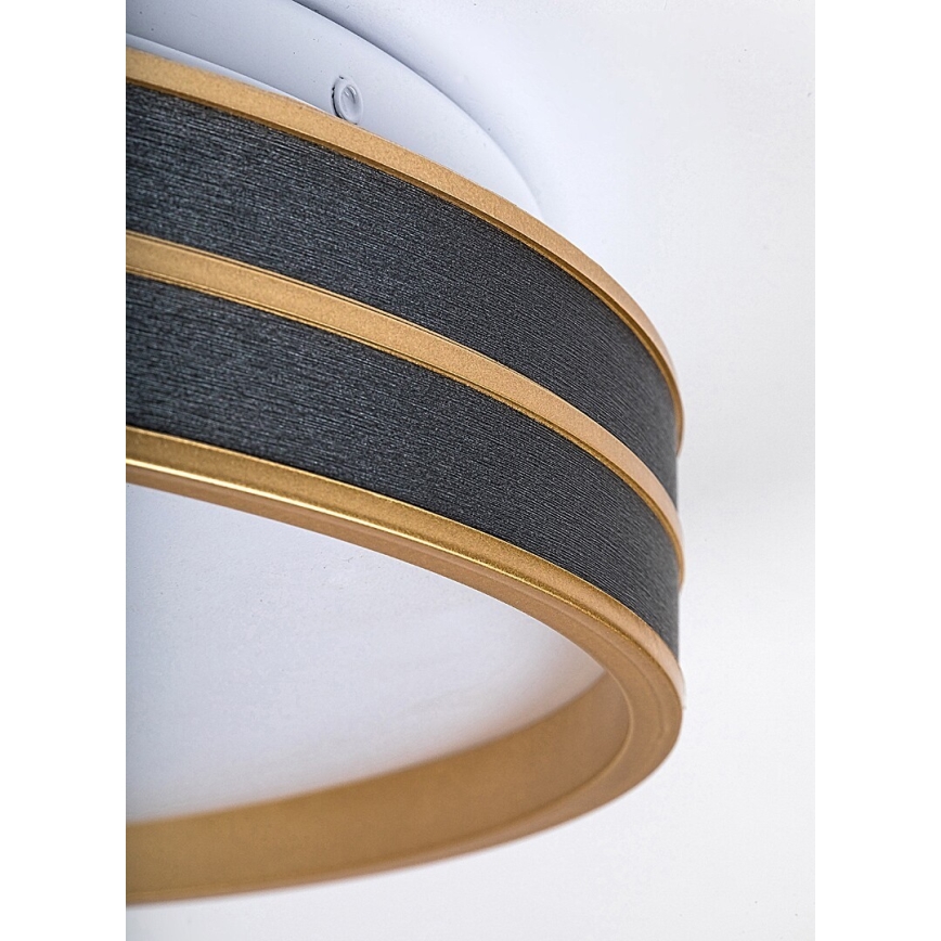 Rabalux - Reguliuojamo ryškumo LED lubinis šviestuvas LED/24W/230V 3000-6500K skersm. 39 cm + nuotolinis valdymas