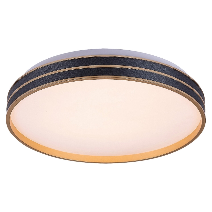 Rabalux - LED Pritemdomas lubinis šviestuvas LED/24W/230V 3000-6500K + nuotolinio valdymo pultas