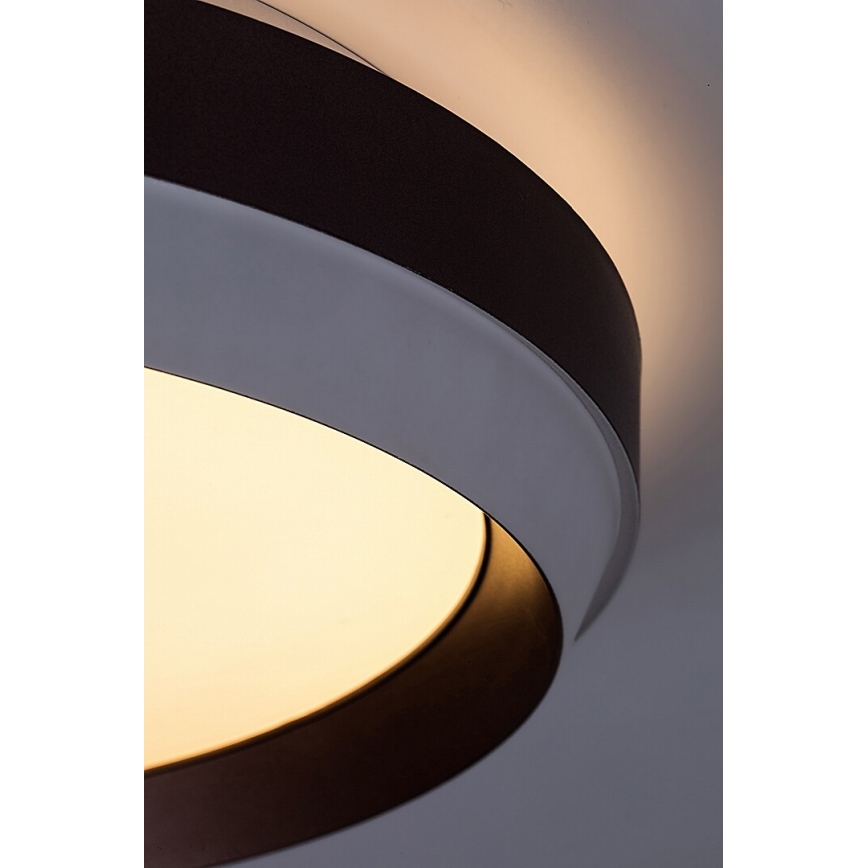 Rabalux - LED lubinis šviestuvas LED/24W/230V 3000K