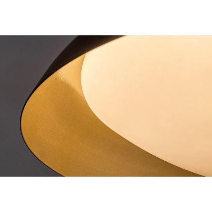 Rabalux - LED lubinis šviestuvas LED/24W/230V 3000K diametras 40 cm